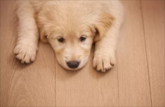 ��ë��Ȯʲôʱ�����?