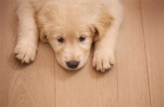 ��ë��Ȯʲôʱ�����?