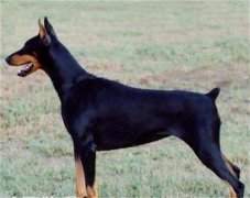 ������������ʲôԭ��