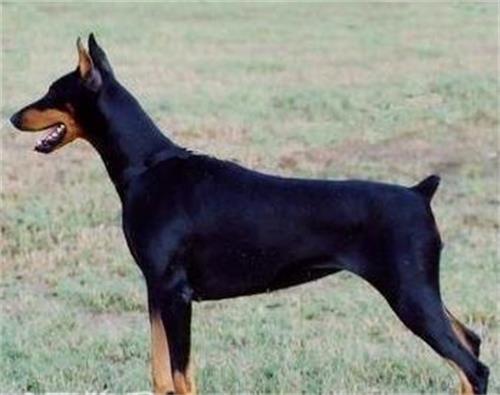 ������������ʲôԭ��