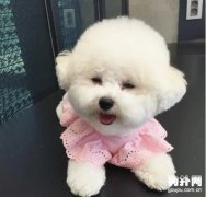 ���ʴ�ϸ�������г�����ô����