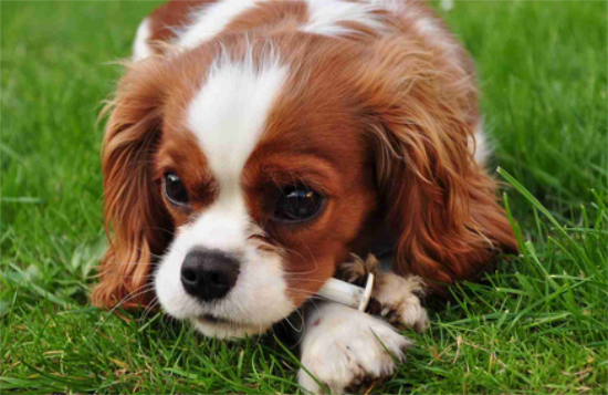 12���ڵ���Ȯ����ôι��?