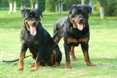 ���������ʵ���ʲôԭ��