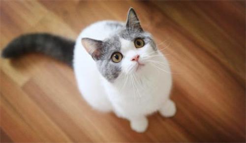 è�任���Ǽ�����