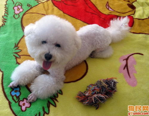 ĸȮ�ڷ���ǰ������Щ���֣�