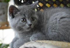 è���ʲô��ˮ��