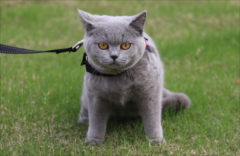 è����ʺ����ô����?