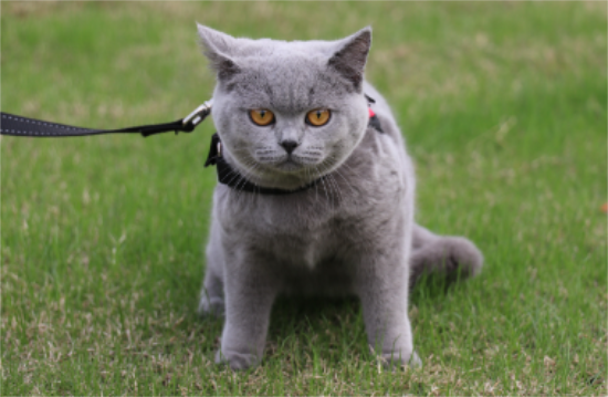 è����ʺ����ô����?