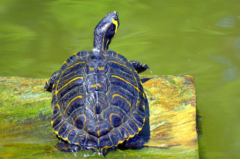 ����Ժ͹�һ������