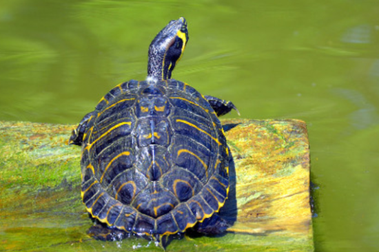 ����Ժ͹�һ������