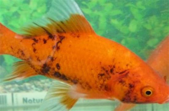 ��������ڰ���ô��