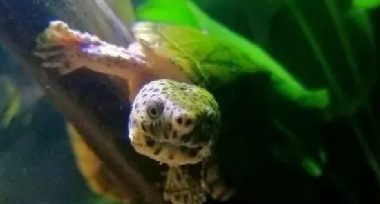 �úڰ壡������������������������