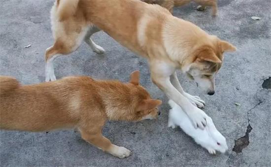 ����������Ϊɶ��ô����