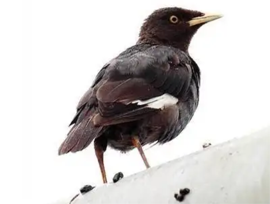 ����ϡ��������������