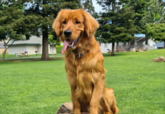 ��ëһ����Ҫ������Ǯ