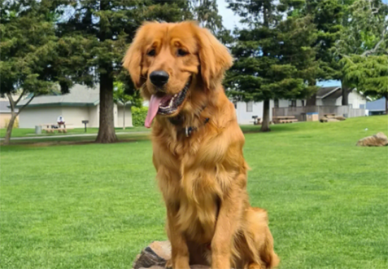 ��ëһ����Ҫ������Ǯ