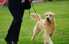 ��ë�����������ĸ�������