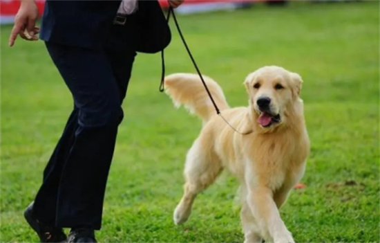 ��ë�����������ĸ�������