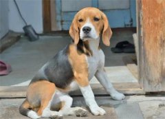 �ȸ�Ȯ�ͽ�ë�ĸ��ã��ȸ�Ȯ�ͽ�ë�ĸ��ã�