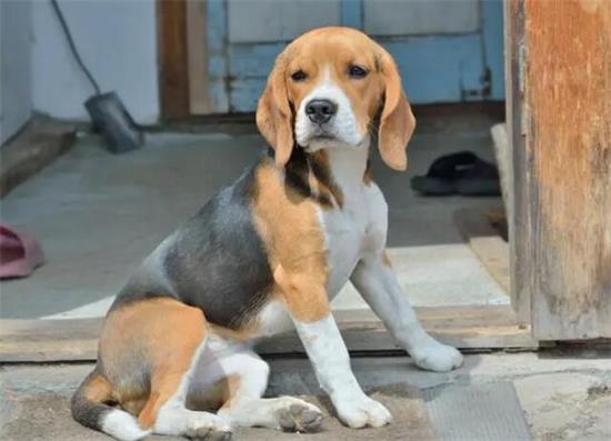 �ȸ�Ȯ�ͽ�ë�ĸ��ã��ȸ�Ȯ�ͽ�ë�ĸ��ã�