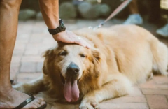 ��ë�Ϳ»��ĸ�����