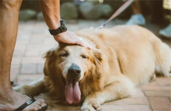 ��ë�Ϳ»��ĸ�����