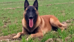 �������������ζ����Щ?