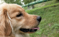 ��ëһ��Զ��ٹ�����