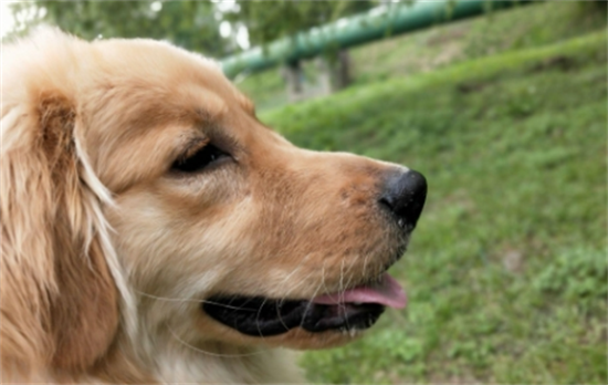 ��ëһ��Զ��ٹ���