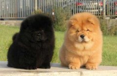 �������������Ǵ�ʲôʱ��ʼ�ģ�