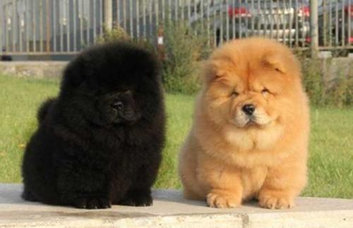 �������������Ǵ�ʲôʱ��ʼ�ģ�