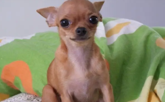 �������䷢���ԭ������Щ