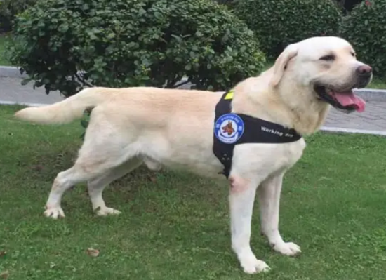 ��������Ȯѵ������