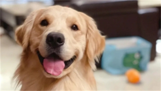 ��ë������һ���Ƕ��