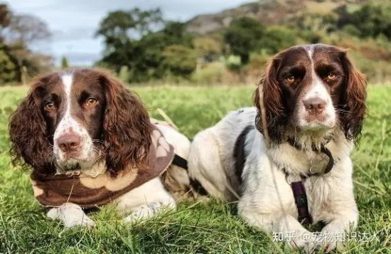 �����ܲ��ܳԱ����裿