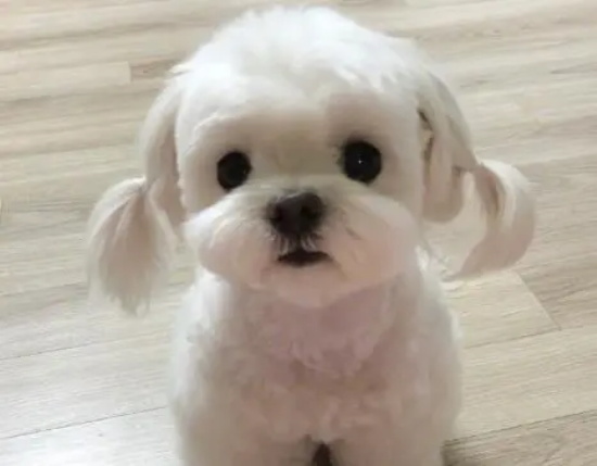 ĸ����������ʲô���� 