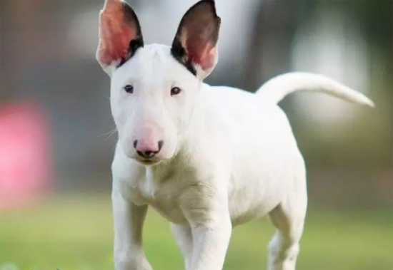 ������ʺ����ô���°�