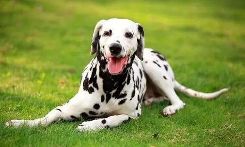 ��ë��Ȯ������ҧ������ô�죿