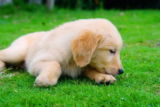 ������ơ�ƻ����ʲô���?