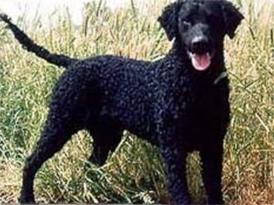 ������ä����ŧ����ѿ����ʲô����