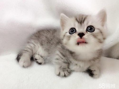 è����ʳ��ʲô���ɣ�