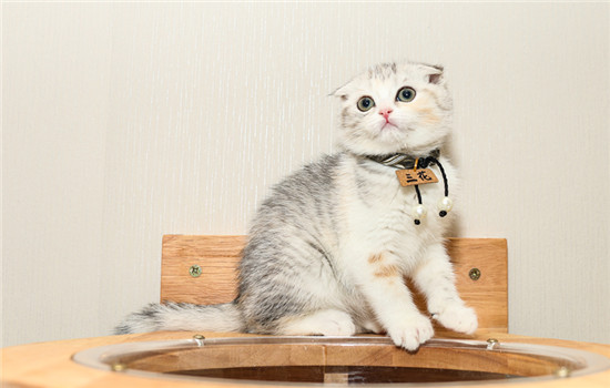 è��ͻȻ������ʲôԭ��