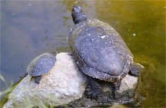 �ڹ�ʲôʱ�򲻳Է�