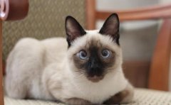 è���ë��ʲôԭ��?