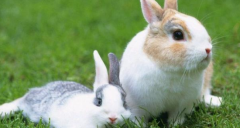 ·��������֮��