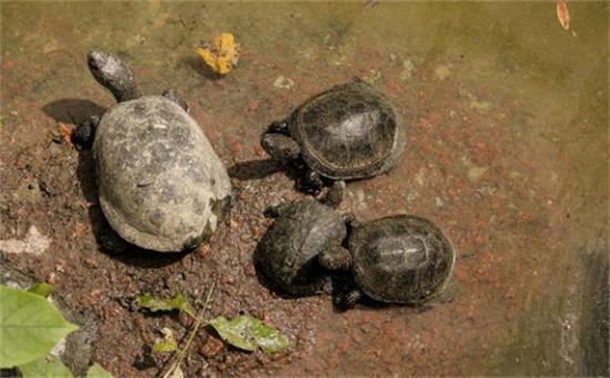 �����ڹ�����ܶ�����