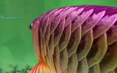 ը��������ô����