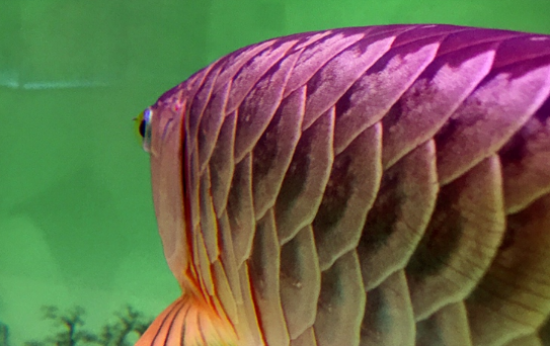 ը��������ô����