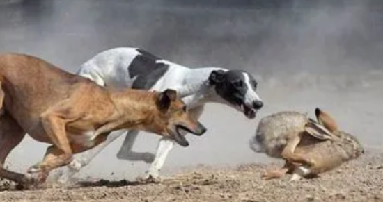 �����������?