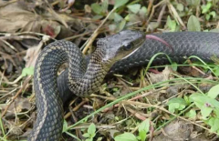 �岽���ж���